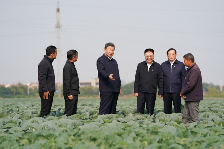 11月4日至6日，中共中央总书记、国家主席、中央军委主席习近平在湖北考察。这是5日上午，习近平在咸宁市嘉鱼县潘家湾镇十里蔬菜长廊考察时，走进田间，察看蔬菜长势。新华社记者谢环驰摄